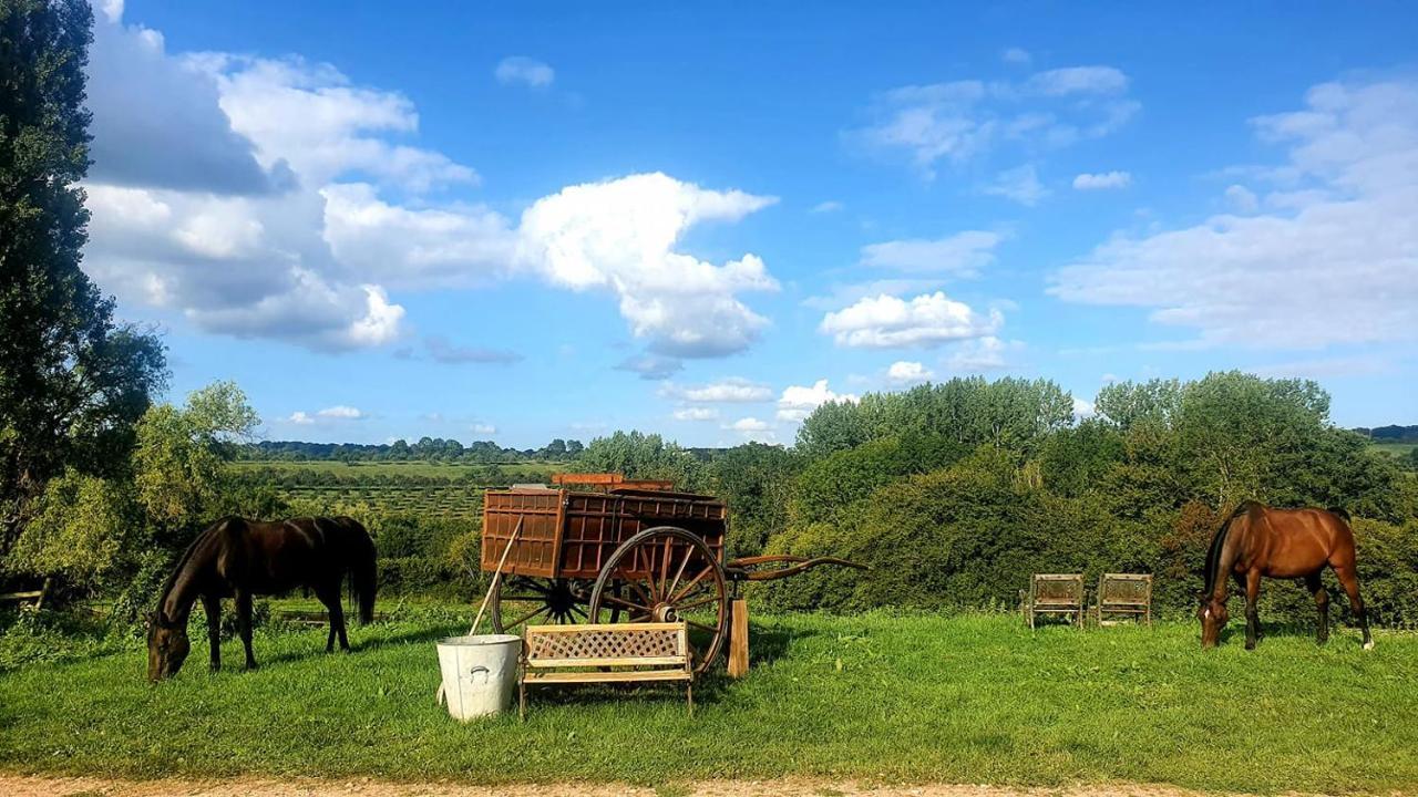 Des Trevignes Holiday home *